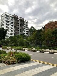 Botanic Gardens Mansion (D10), Apartment #556184711
